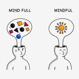 WhatsApp Image 2025-05-18 at 20.37.41